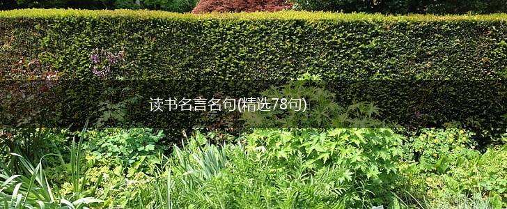 读书名言名句(精选78句),第1张
