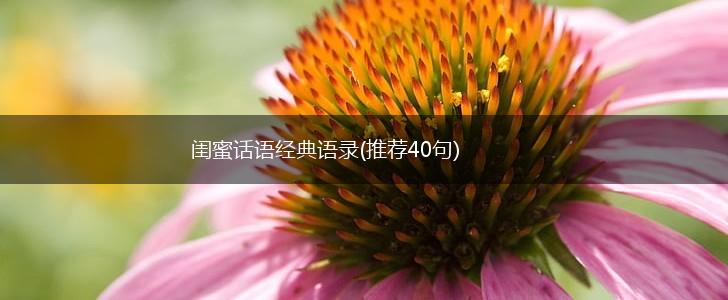闺蜜话语经典语录(推荐40句),第1张