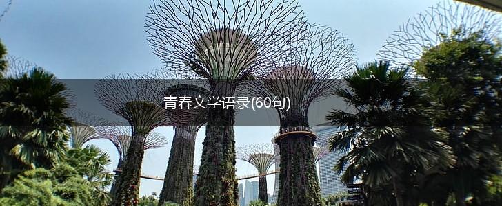 青春文学语录(60句),第1张
