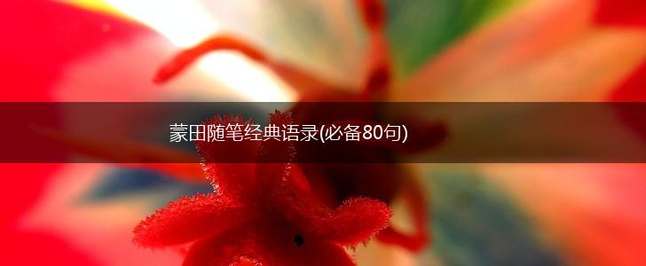 蒙田随笔经典语录(必备80句),第1张