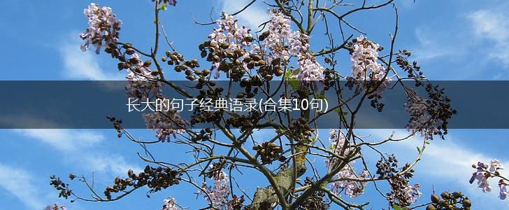 长大的句子经典语录(合集10句),第1张