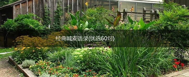 经典喊麦语录(优选60句),第1张