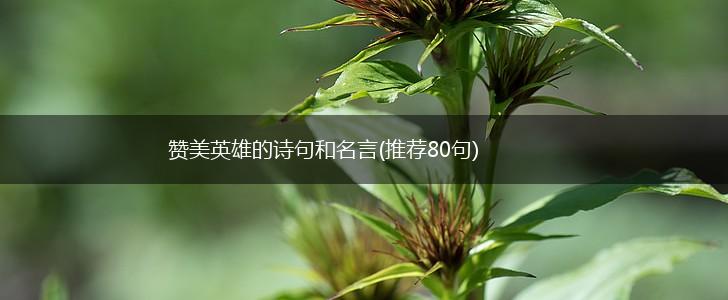 赞美英雄的诗句和名言(推荐80句),第1张