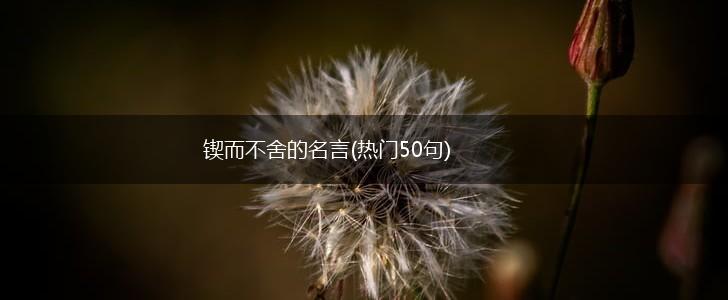 锲而不舍的名言(热门50句),第1张 锲而不舍的名言(热门50句),第1张