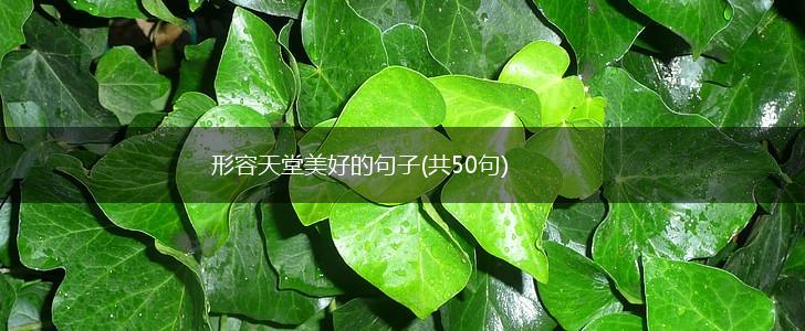 形容天堂美好的句子(共50句),第1张