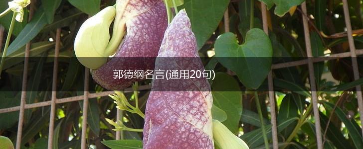 郭德纲名言(通用20句),第1张
