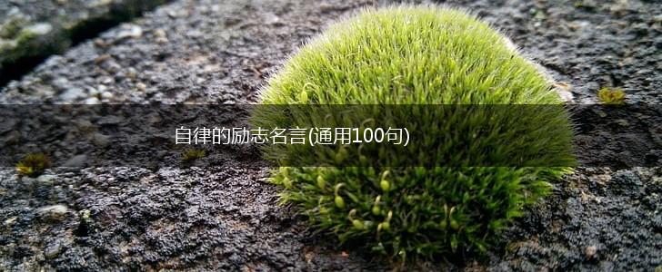 自律的励志名言(通用100句),第1张