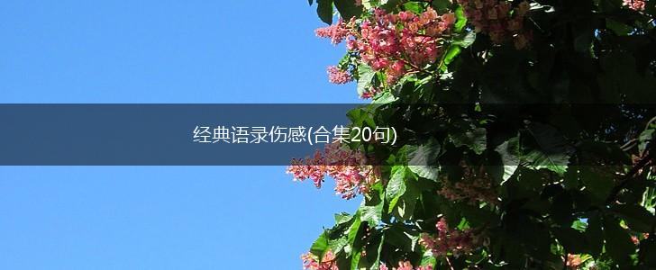 经典语录伤感(合集20句),第1张