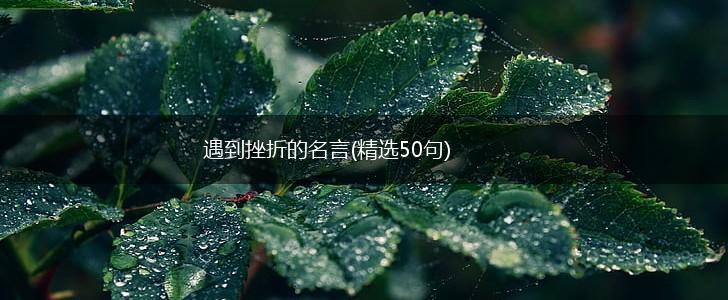 遇到挫折的名言(精选50句),第1张 遇到挫折的名言(精选50句),第1张