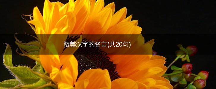 赞美汉字的名言(共20句),第1张 赞美汉字的名言(共20句),第1张