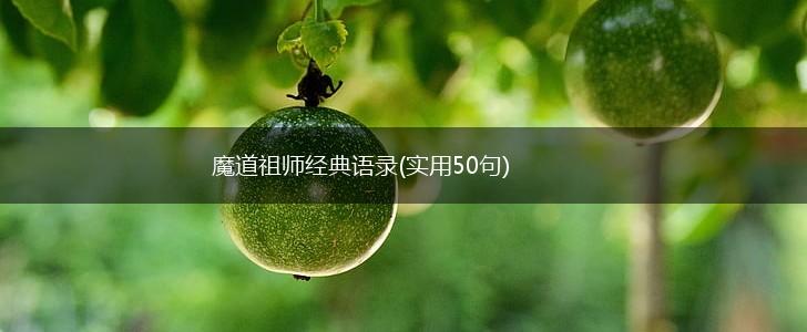 魔道祖师经典语录(实用50句),第1张