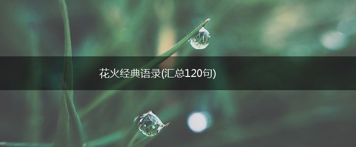 花火经典语录(汇总120句),第1张