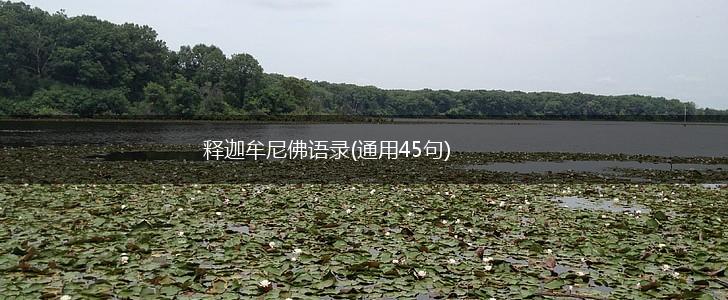 释迦牟尼佛语录(通用45句),第1张