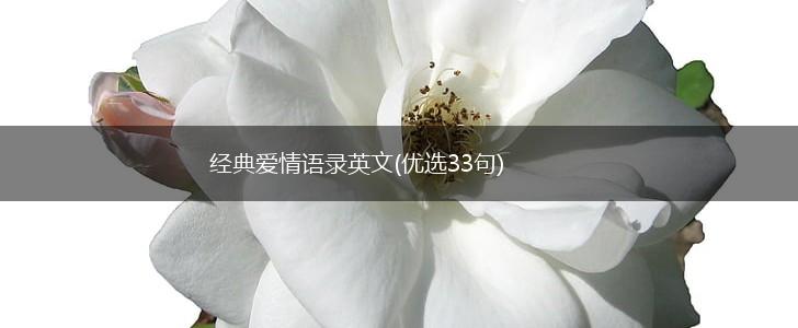 经典爱情语录英文(优选33句),第1张