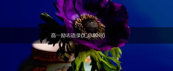 高一励志语录(汇总80句),第1张