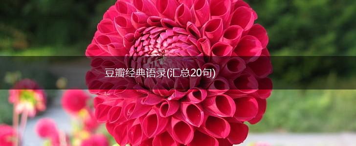 豆瓣经典语录(汇总20句),第1张