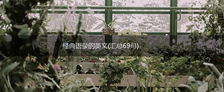 经典语录的英文(汇总69句),第1张