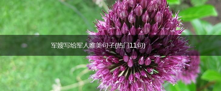 军嫂写给军人唯美句子(热门11句),第1张