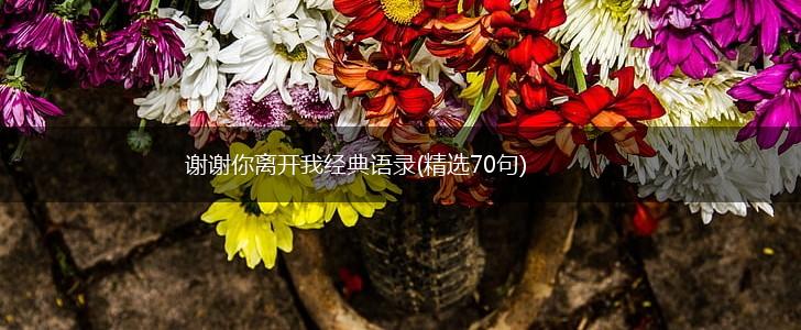 谢谢你离开我经典语录(精选70句),第1张