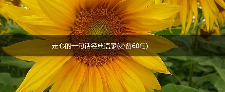 走心的一句话经典语录(必备60句),第1张
