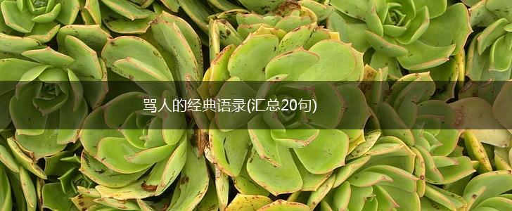 骂人的经典语录(汇总20句),第1张