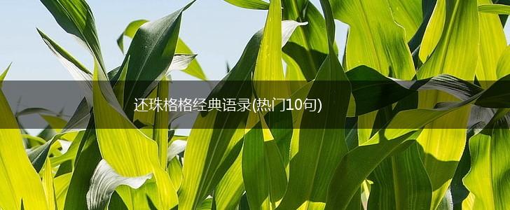 还珠格格经典语录(热门10句),第1张