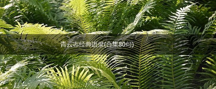 青云志经典语录(合集80句),第1张