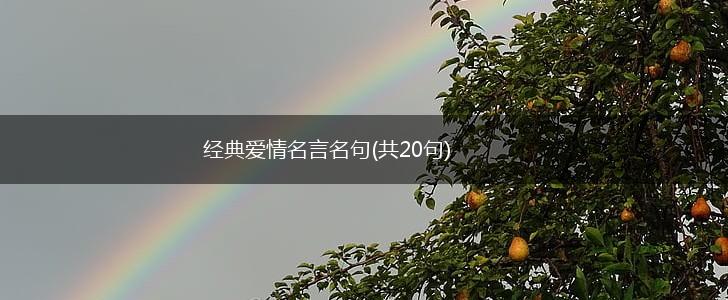 经典爱情名言名句(共20句),第1张