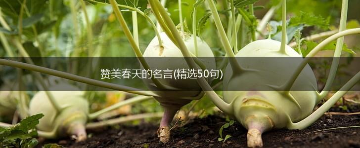 赞美春天的名言(精选50句),第1张