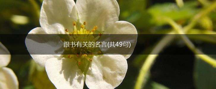 跟书有关的名言(共49句),第1张 跟书有关的名言(共49句),第1张