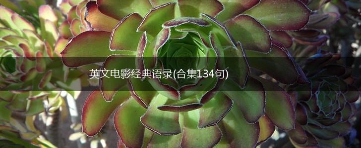 英文电影经典语录(合集134句),第1张