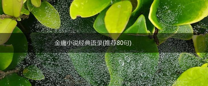 金庸小说经典语录(推荐80句),第1张