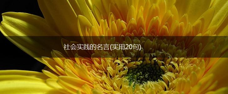 社会实践的名言(实用20句),第1张 社会实践的名言(实用20句),第1张
