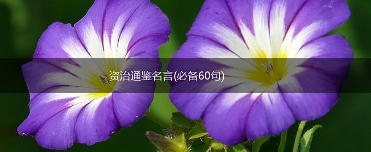 资治通鉴名言(必备60句),第1张 资治通鉴名言(必备60句),第1张