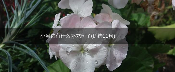 小河边有什么补充句子(优选11句),第1张