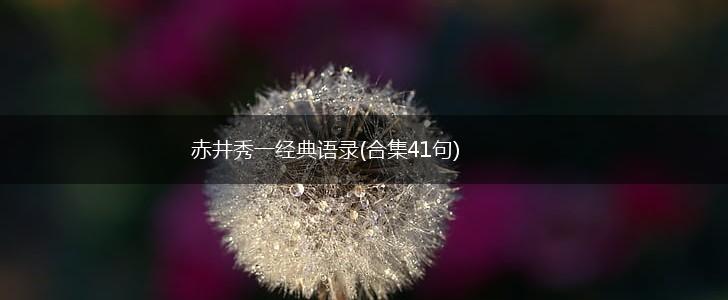 赤井秀一经典语录(合集41句),第1张