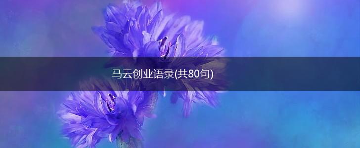 马云创业语录(共80句),第1张