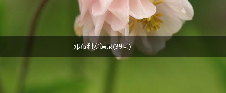 邓布利多语录(39句),第1张