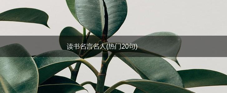 读书名言名人(热门20句),第1张