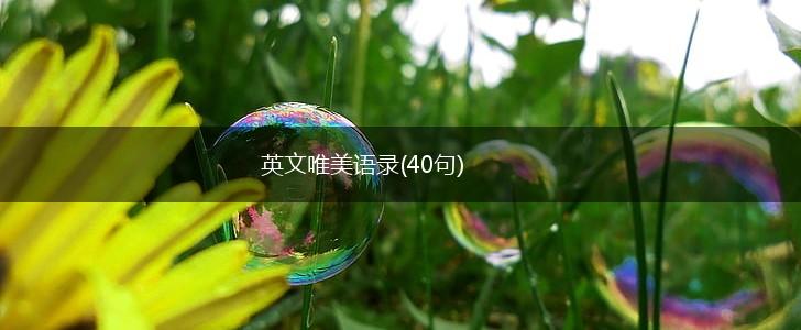 英文唯美语录(40句),第1张