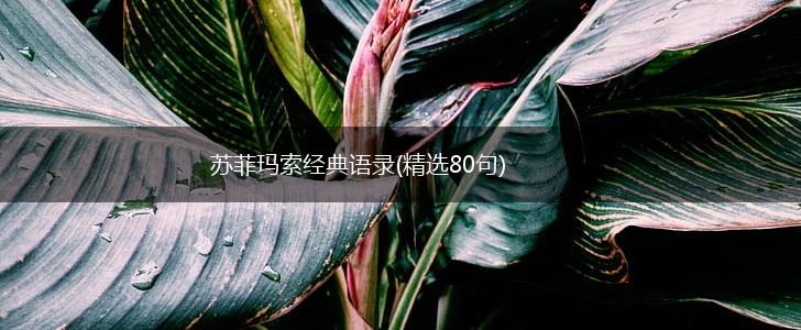 苏菲玛索经典语录(精选80句),第1张