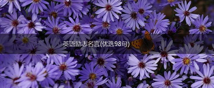 英语励志名言(优选98句),第1张