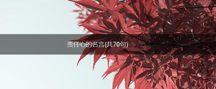 责任心的名言(共70句),第1张 责任心的名言(共70句),第1张