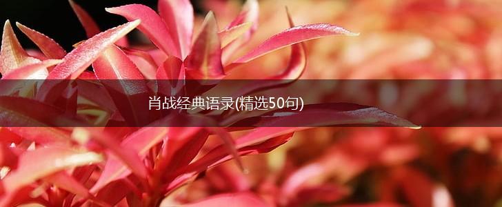 肖战经典语录(精选50句),第1张