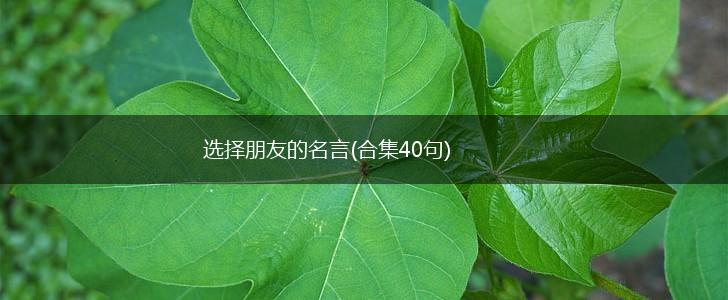 选择朋友的名言(合集40句),第1张 选择朋友的名言(合集40句),第1张