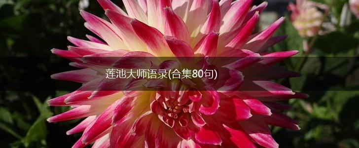 莲池大师语录(合集80句),第1张