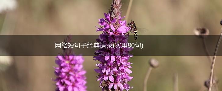 网络短句子经典语录(实用80句),第1张