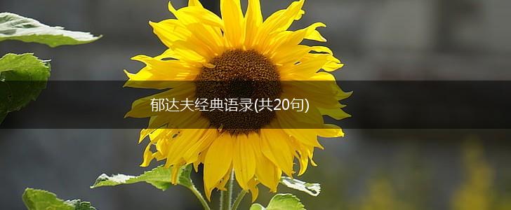 郁达夫经典语录(共20句),第1张
