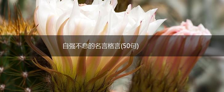 自强不息的名言格言(50句),第1张 自强不息的名言格言(50句),第1张