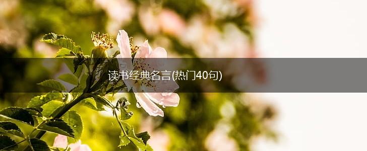 读书经典名言(热门40句),第1张 读书经典名言(热门40句),第1张